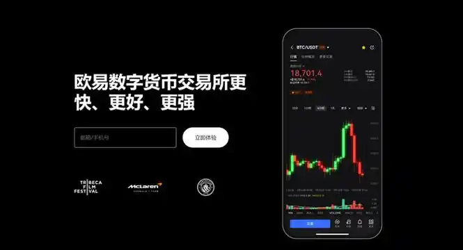 OK钱包直接下载页面展示